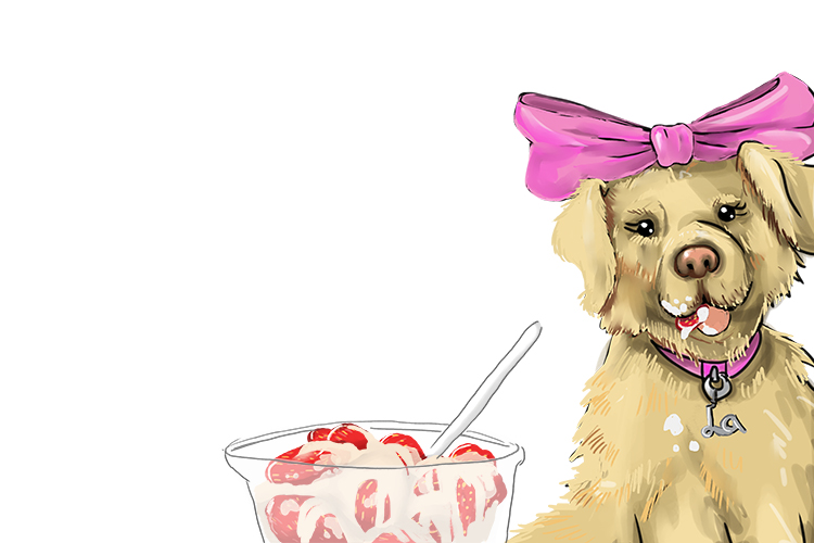 Fraise is feminine, so it's la fraise. Imagine the Labrador eating strawberries and cream at Wimbledon.